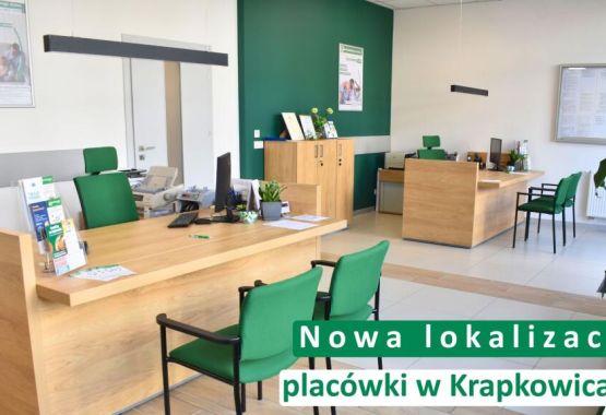 Trzy osoby siedzące przy drewnianym stole – doradczyni bankowa w czarnym żakiecie oraz para klientów. Na stole leżą dokumenty i otwarty laptop, a doradczyni wskazuje coś na ekranie smartfona. W lewym górnym rogu logotyp Banku Spółdzielczego w Leśnicy. Na dole napis: „Oszczędności. Dlaczego warto mieć finansową poduszkę bezpieczeństwa?”